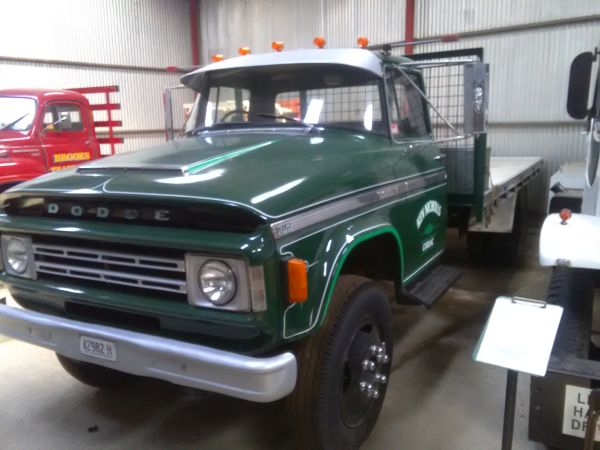 Dodge