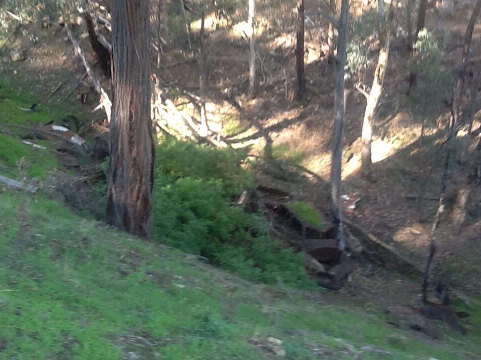 SylviasGapRd03jun2015 2